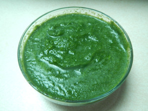 Coriander_pesto