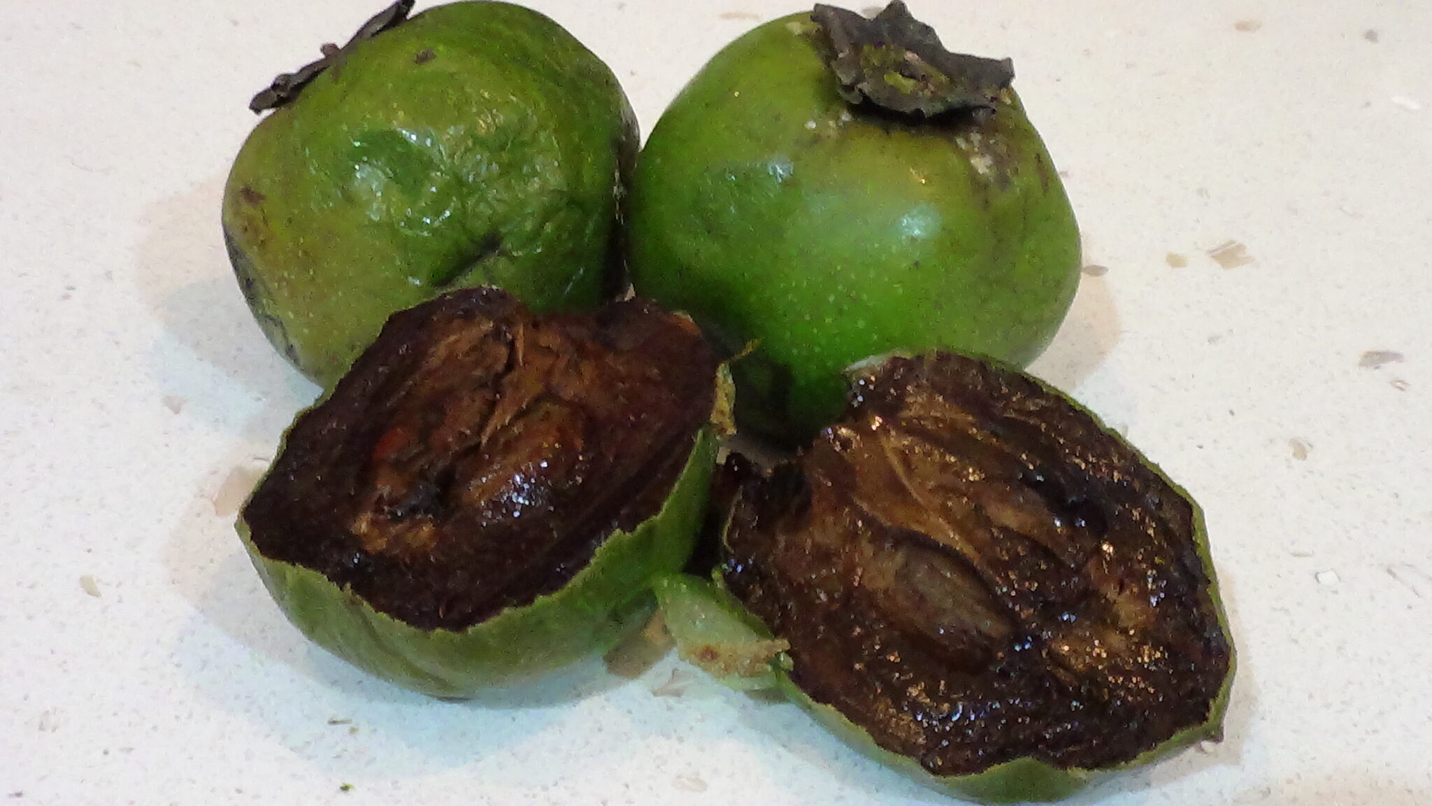 Black Sapote Nice Cream — Empower Total Health 