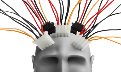 Rewiring the 'obese brain'