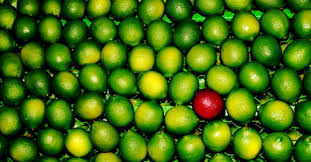 Rewrite your patterns and break free!