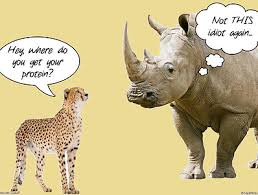 The perils of protein