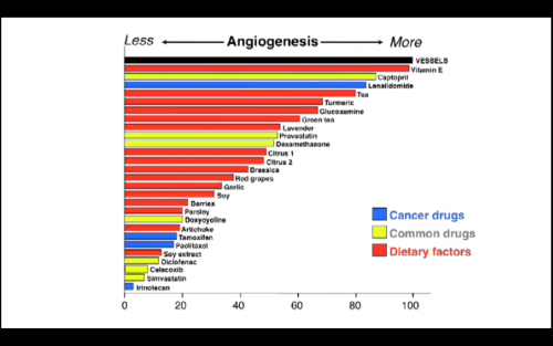 Angiogenesis Food Chart