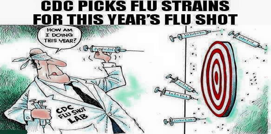 cdc picks flu strains ile ilgili görsel sonucu