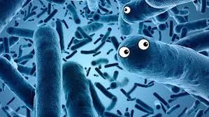 Food cravings and your gut microbiome - the surprising connection