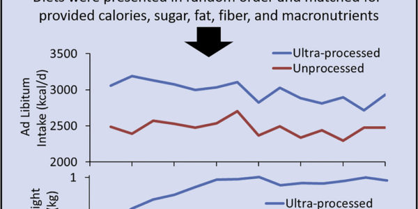 Ultraprocessed foods make you overeat - even when you don't want to - and cause weight gain