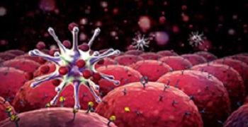 Nutrition and your immune system