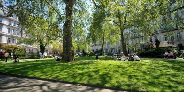 Can getting in the green help beat COVID-19?