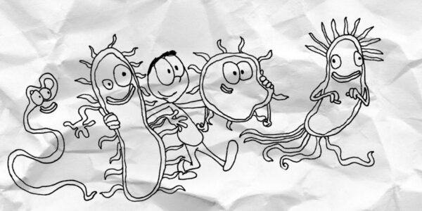 The Universe Within &ndash; Part 2: Make Friends With Your Gut Microbiome