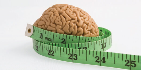 Obesity: Bad to the Brain