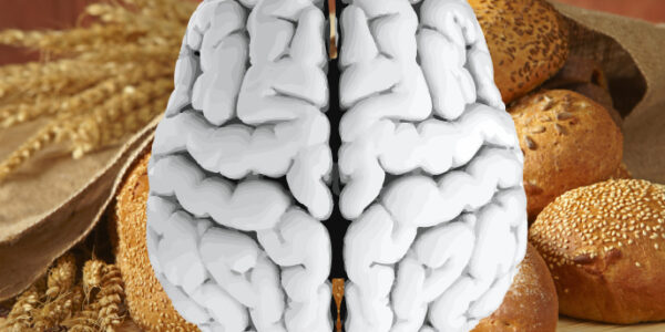 Busting the Grain Brain myth