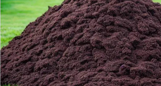 How to sharpen your bullsh*t detection skills