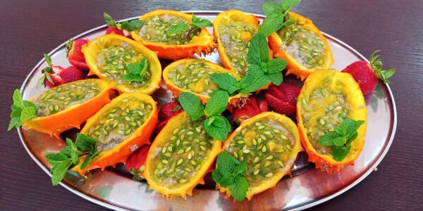 Kiwano Chia Puddings