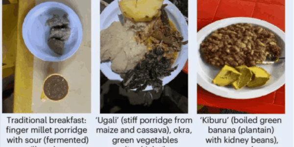 From Kilimanjaro to the kitchen: Debunking social media nutrition advice with an African diet swap study